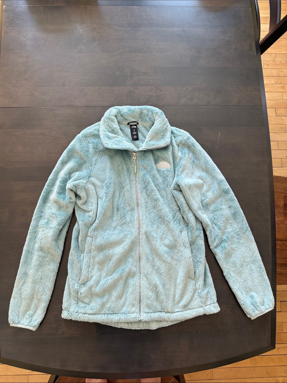 The North Face Women's Mint Blue Plush Full-Zip Teddy Jacket
